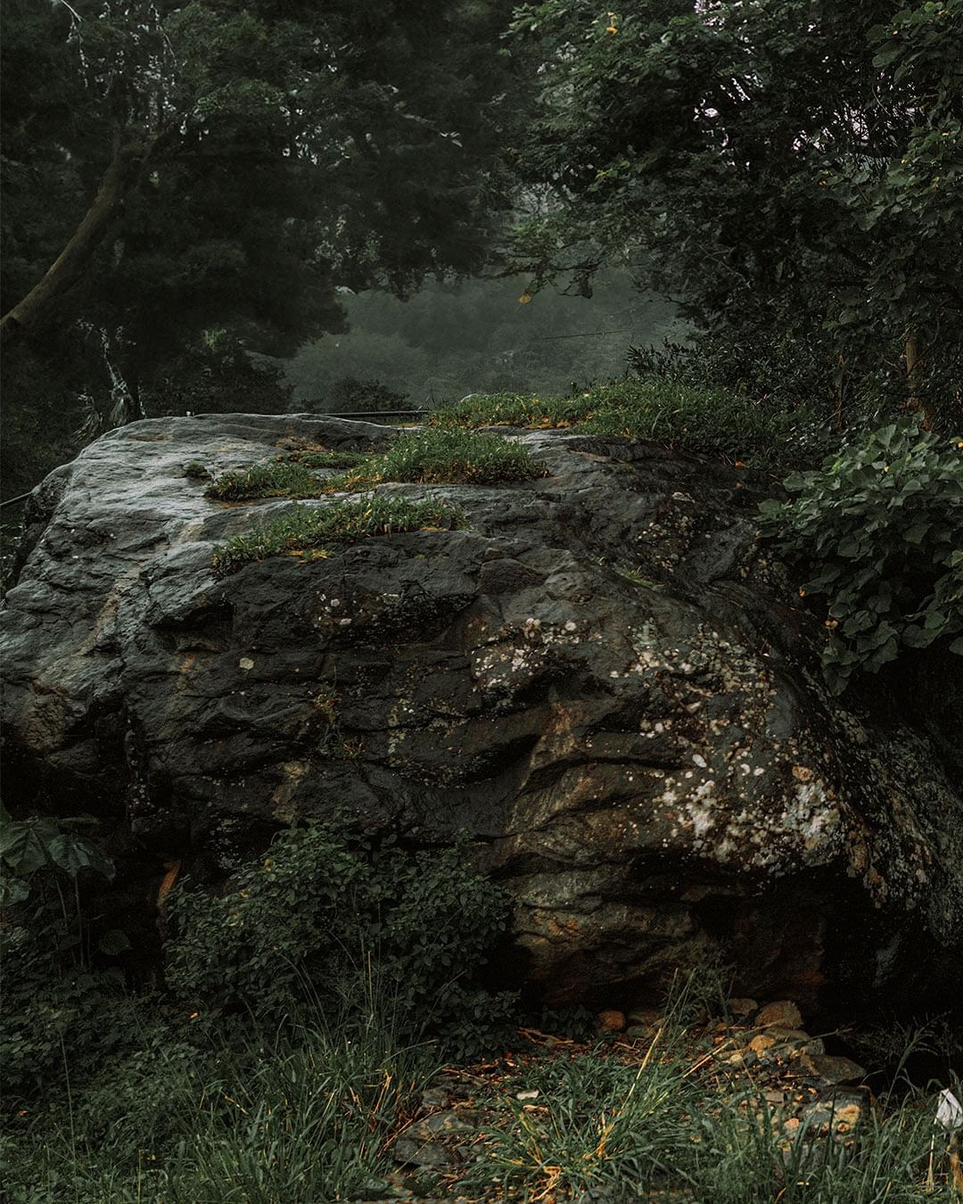 Cascading Hearts: Niranj & Deva's Enchanting Pre-Wedding Shoot in Kerala's Natural Paradise | The Phototoday Photography 