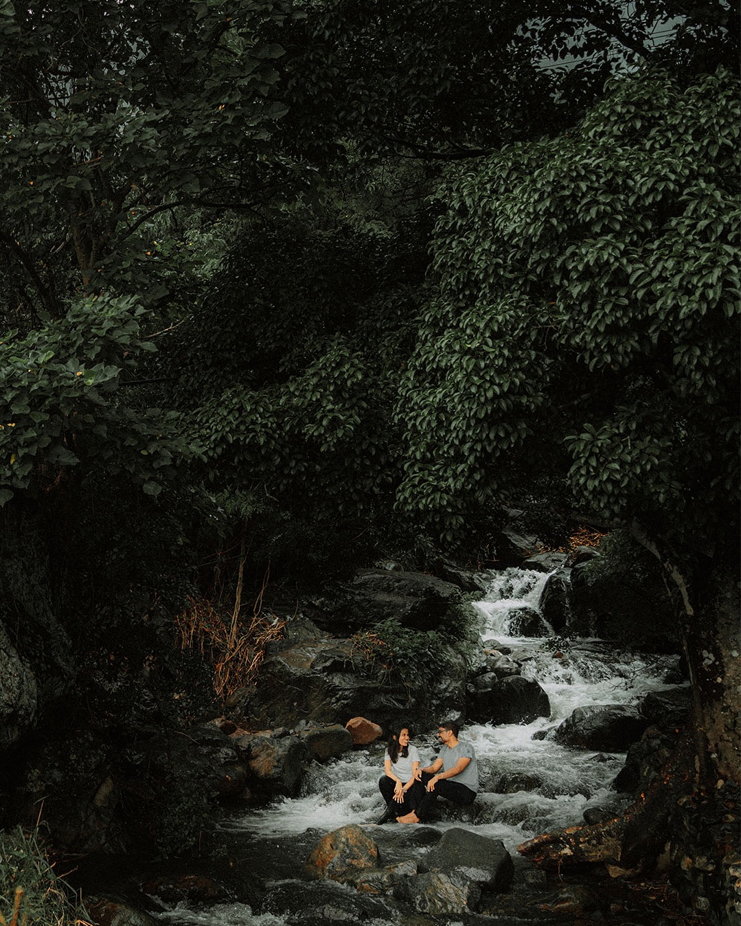 Cascading Hearts: Niranj & Deva's Enchanting Pre-Wedding Shoot in Kerala's Natural Paradise | The Phototoday Photography 