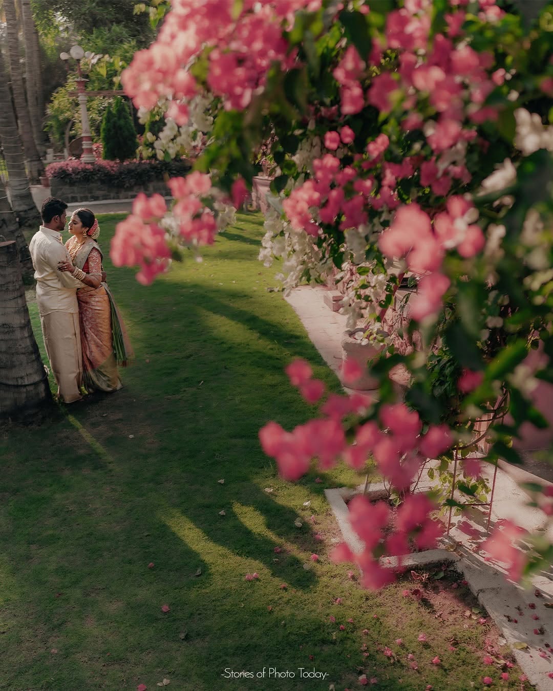 Aravind & Nivetha's Love Story: A Dreamy Couple Photoshoot Among Bougainvillea Blooms in Coimbatore 